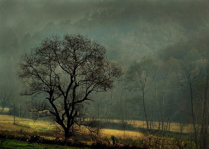 孔子有登泰山而小天下的名言,孔子登泰山而小天下的翻译是什么