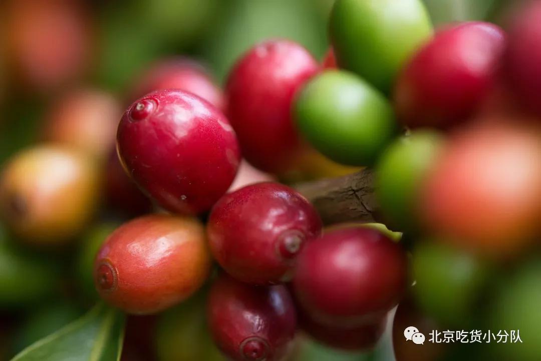 今年第一杯咖啡打卡,今年第一杯的奶茶