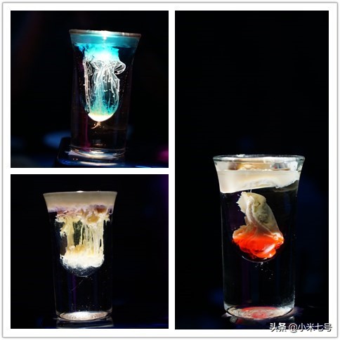 星空鸡尾酒吧厦门,一杯好喝又好看的星空鸡尾酒