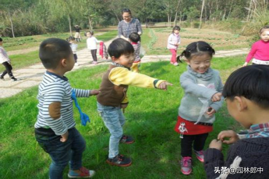 农村这种植物十分少见,农村这些植物你见过吗