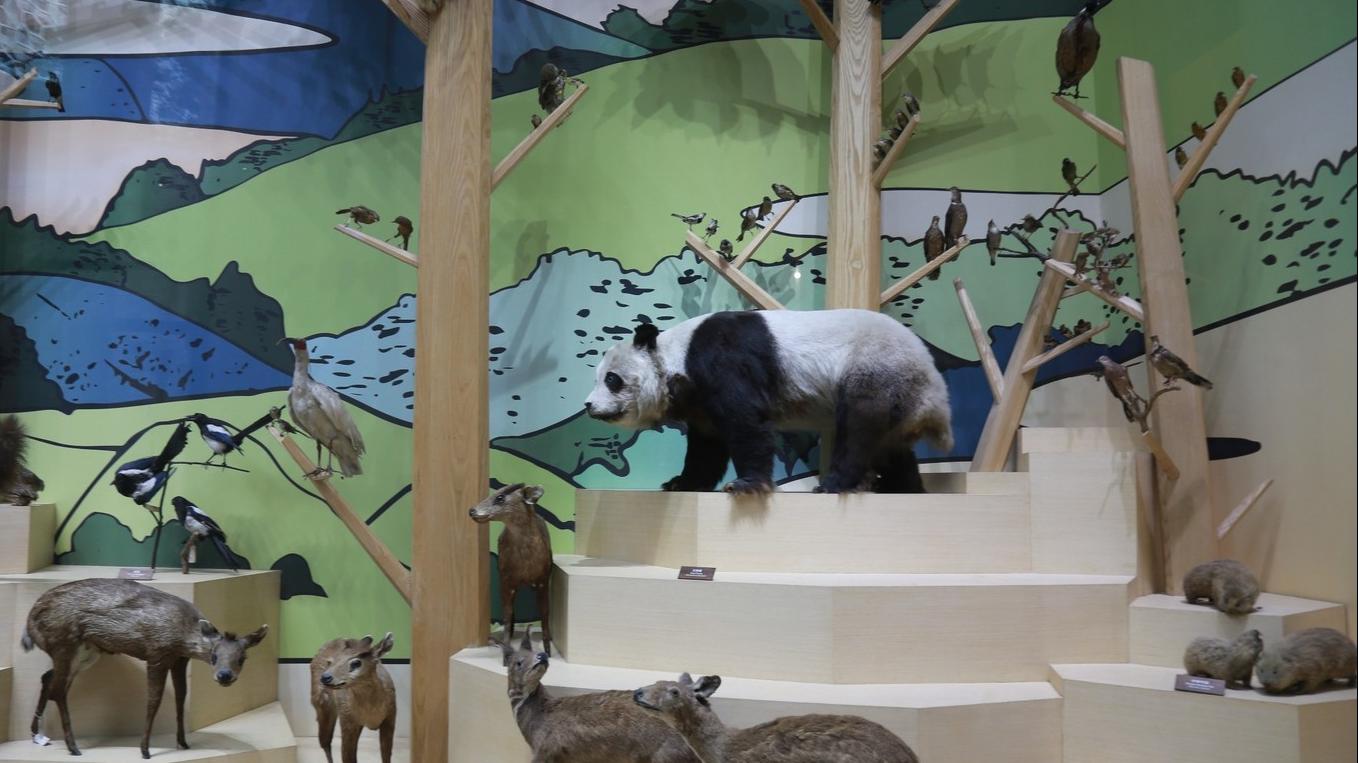 上海迪士尼跨年旅游,上海迪士尼与外滩旅游安排