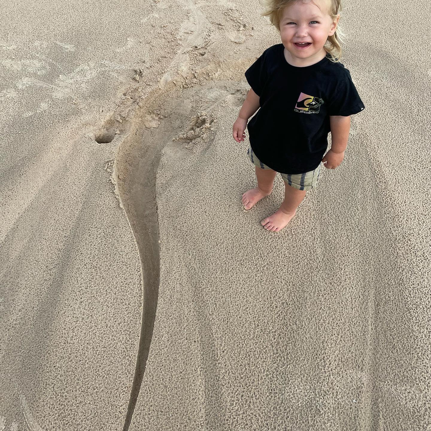 澳洲狂野早教:2岁娃单挑巨蟒,爸爸在一旁指点加油,这?