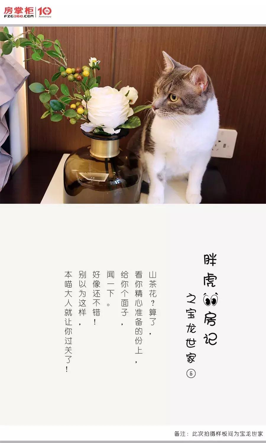 「胖虎大人看房记」第②期——宝龙世家