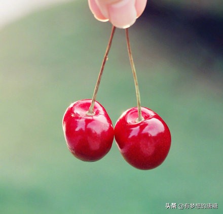 要么对方遍体鳞伤,要么自己痛不欲生:心理学深度剖析作