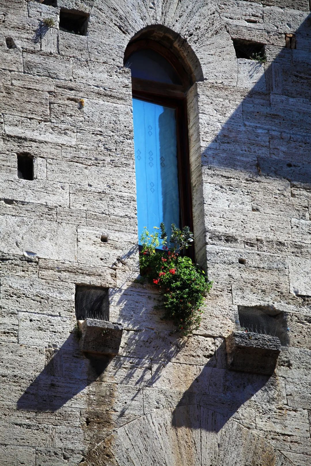 意大利最好的葡萄酒小镇,意大利马纳罗拉小镇盛产葡萄酒
