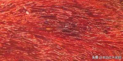 看完这篇红木图解你就是专家,红木百科知识图解