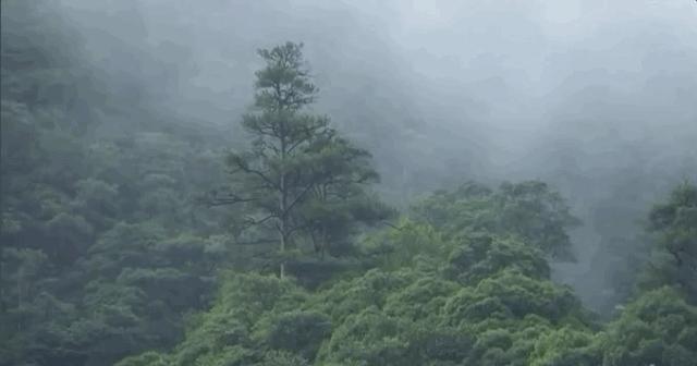 马云去的江西小镇,马云在浙江几个小镇