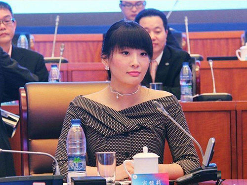 宏胜饮料集团总裁宗馥莉,杭州宏胜饮料集团总裁宗馥莉采访