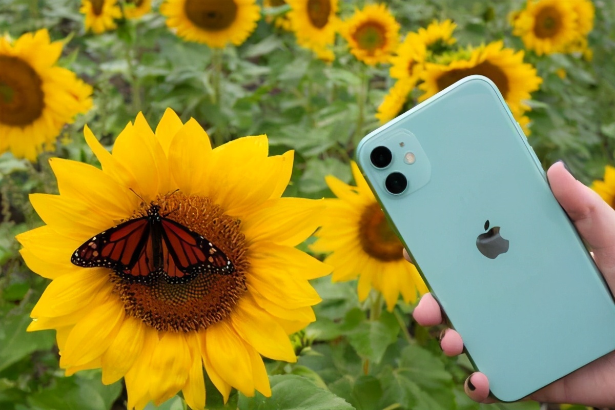 iphone12promax花屏,iphone手机突然屏幕花了