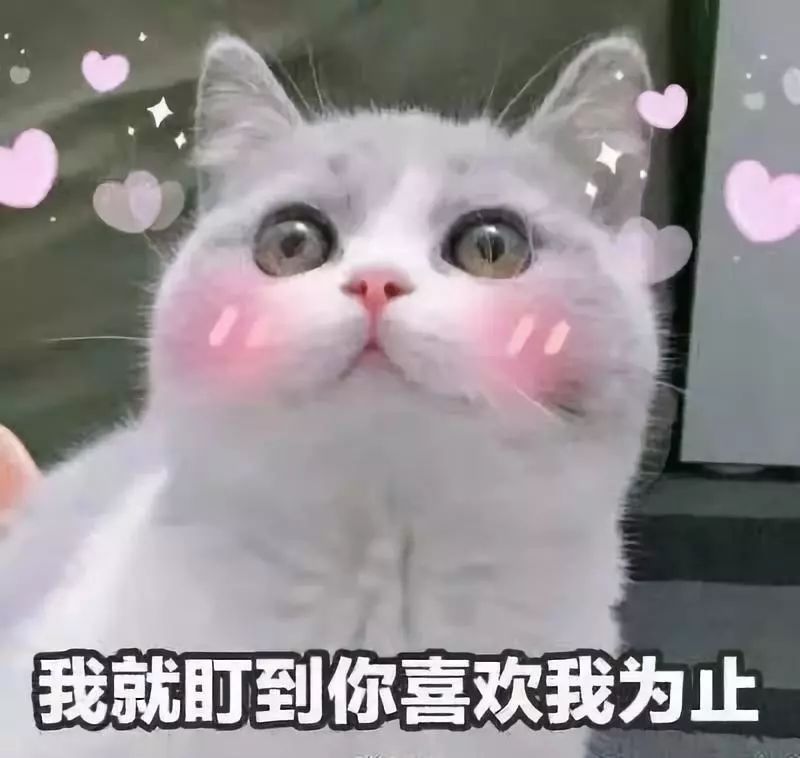 ar社交软件,你很有必要了解一下