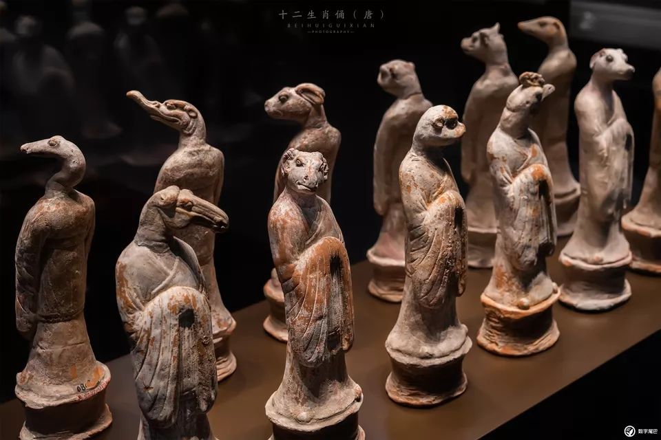 一起去博物馆发现古老的神器,陕西历史博物馆游览全攻略