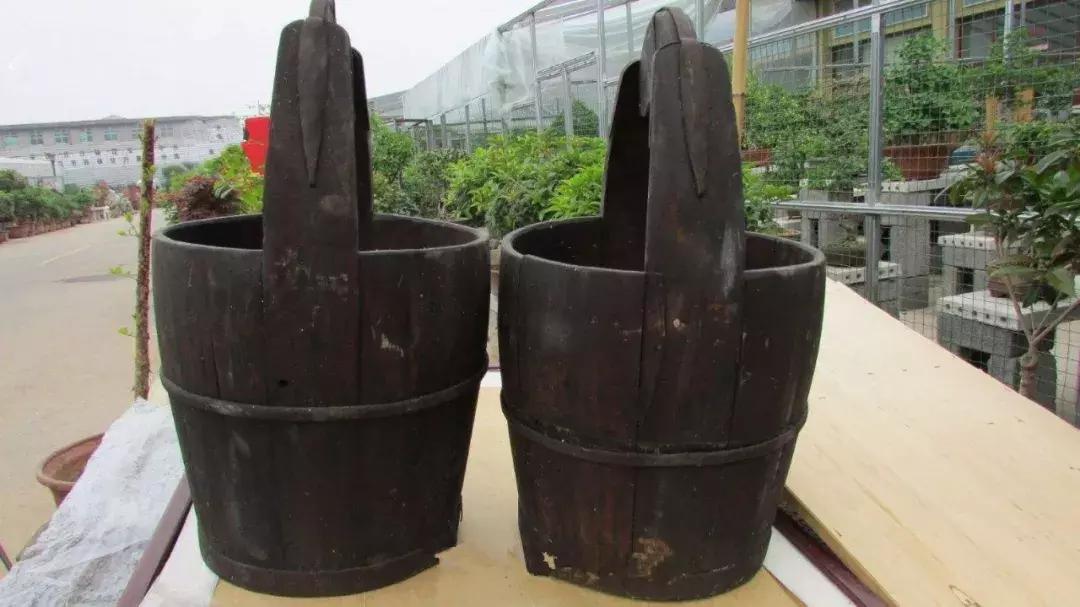 跟着八戒学编程,跟着八戒练体能