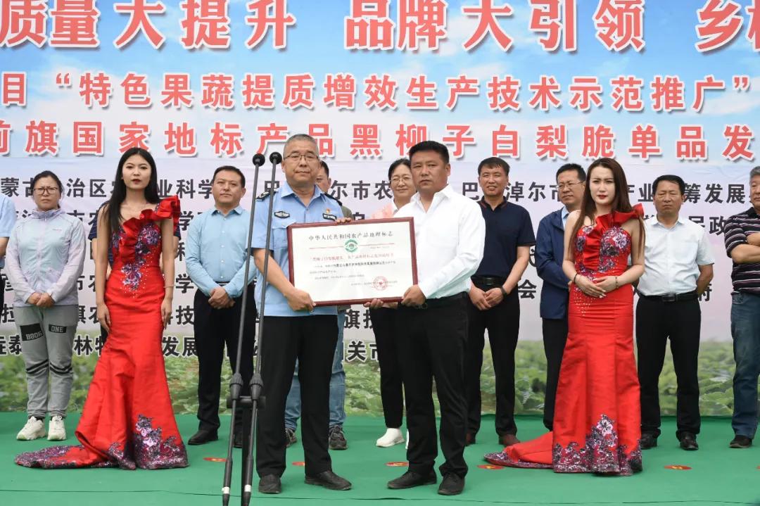 黑柳白梨脆,黑柳子白梨脆甜瓜直播