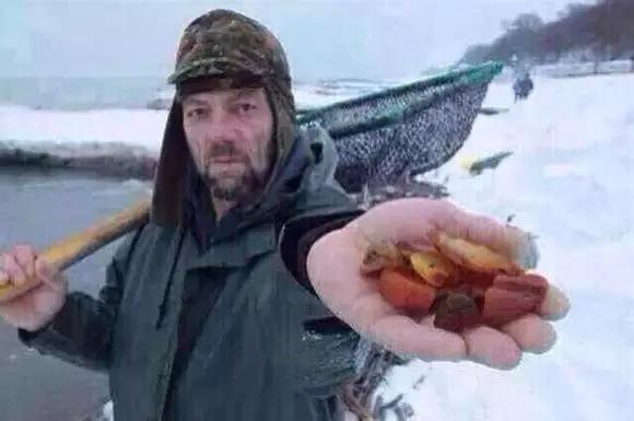 老蜜蜡与新蜜蜡区别是什么,老蜜蜡和新蜜蜡的区别有什么