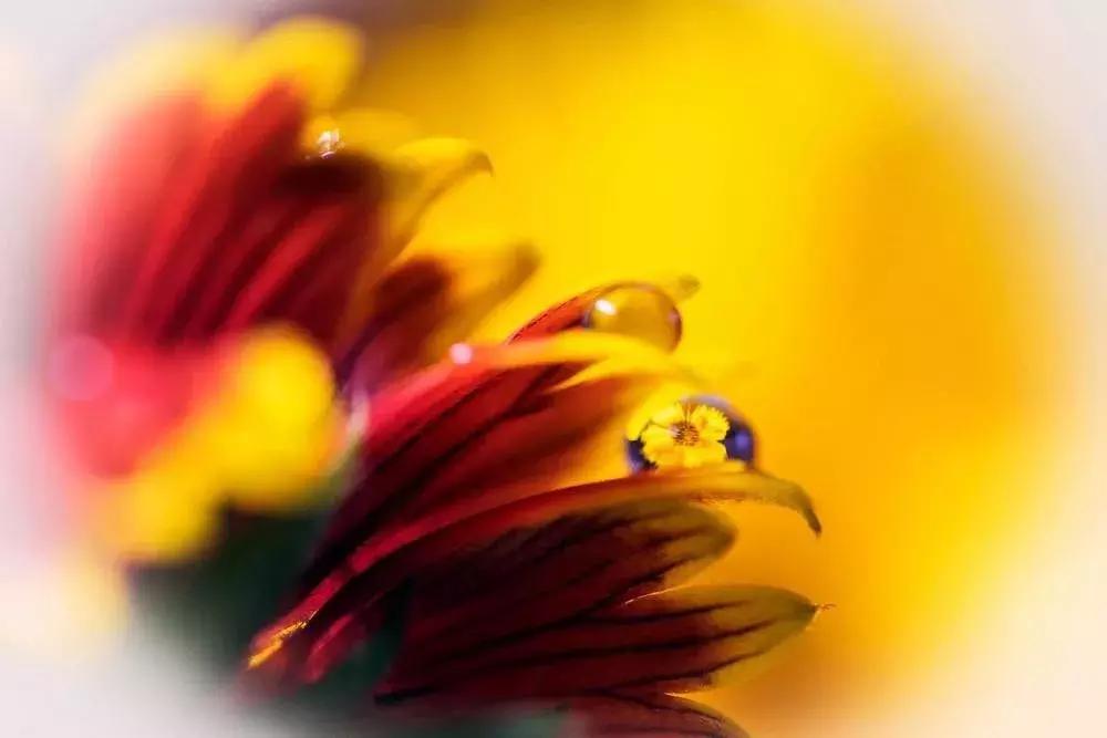 摄影照片每一个细节都很清晰,摄影后期有哪些风格照片