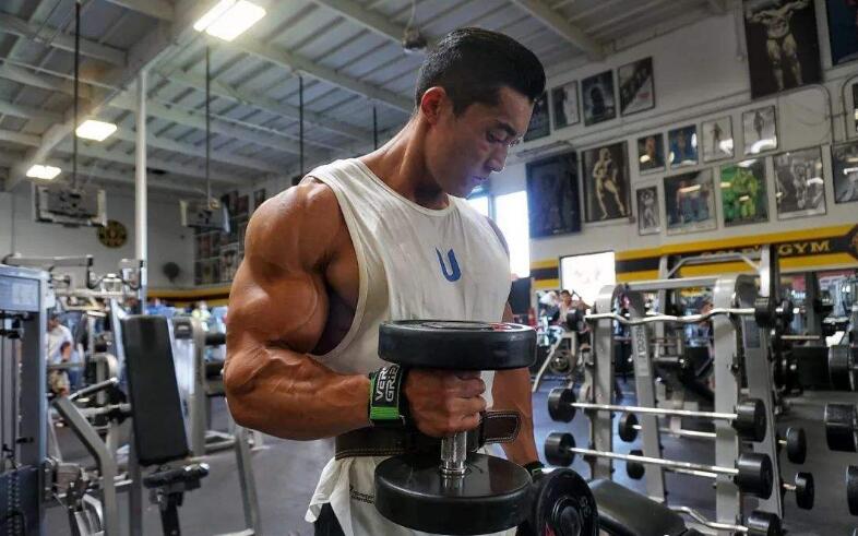 体脂率低的怎么10天瘦5斤,大体重低体脂怎么减肥