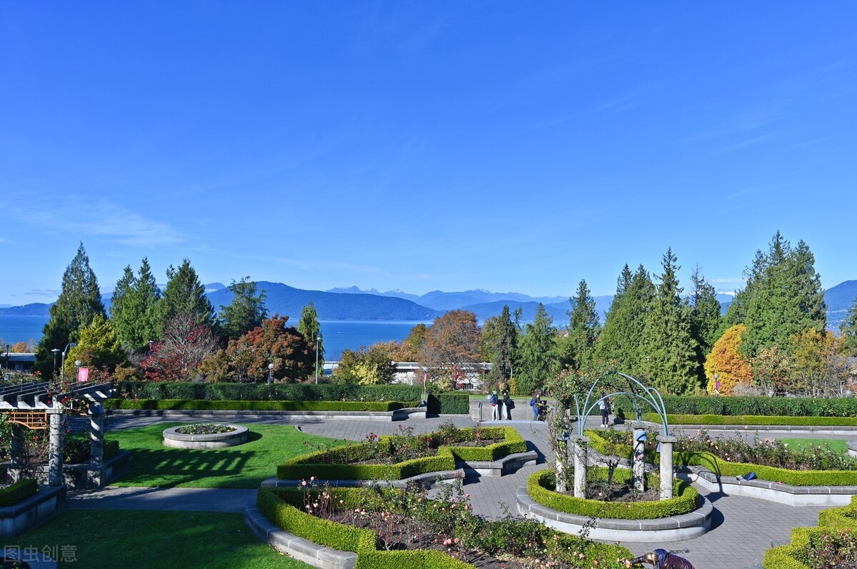 美国一共有多少常春藤大学,美国常春藤八大名校有哪几所大学