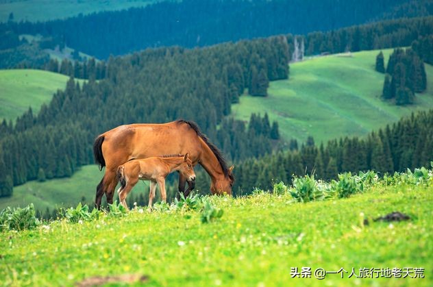 治愈系风景一辈子总要去一次新疆,去新疆的路上看不一样的风景