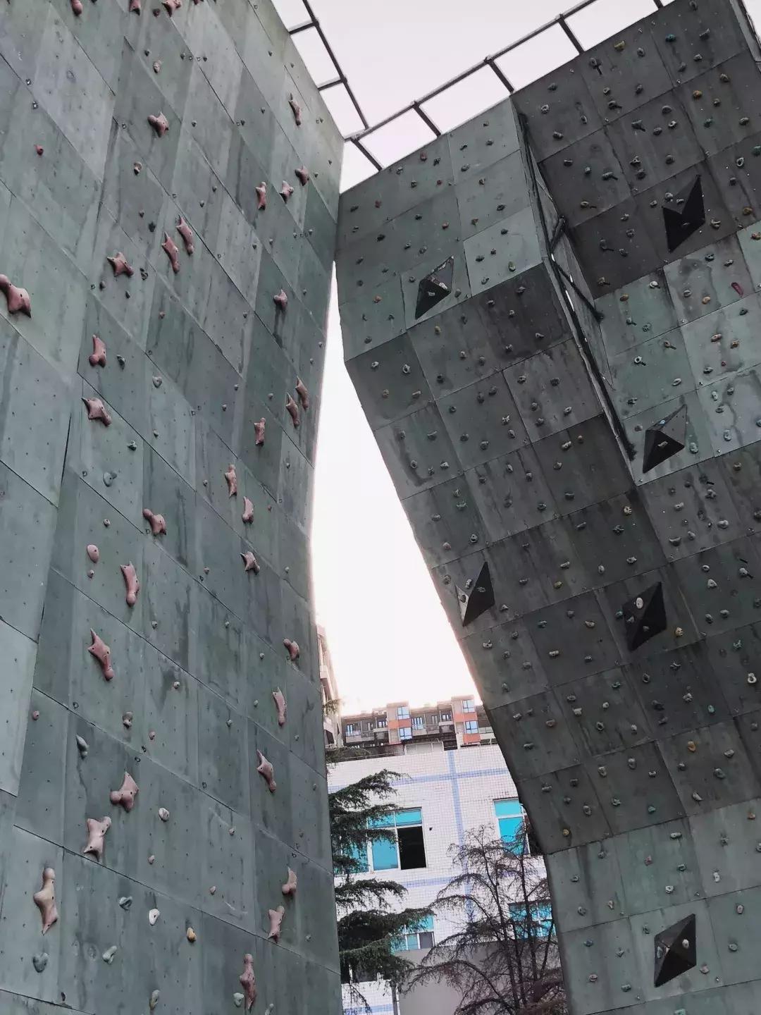 成体,一所靠“抓小偷”牢牢锁死热搜的学校