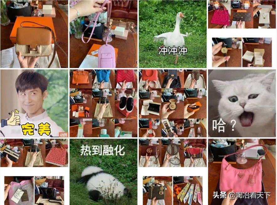 闲鱼上奢侈品,闲鱼上奢侈品卖几百块靠谱么