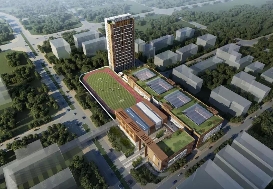 深圳市中小学学区查询,广东实验学校深圳校区学区划分