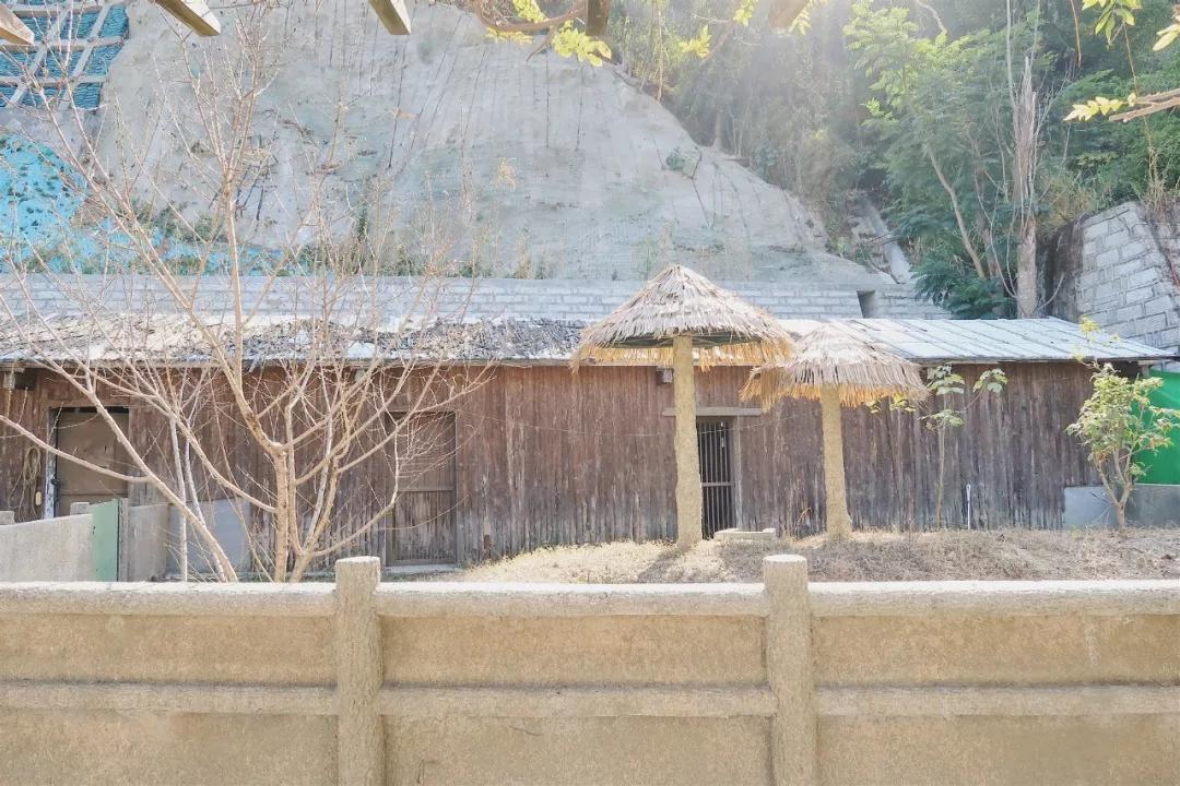 在动物园散步才是正经事|暴走福州