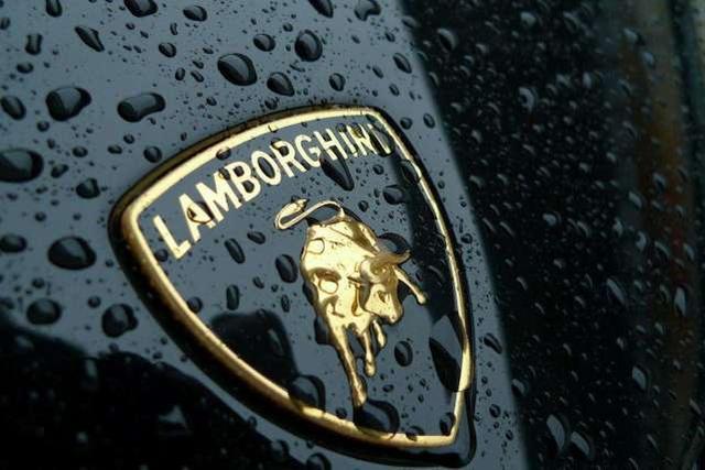 以“动物”为标志的汽车,路上见到记得避让,碰坏了卖车也赔不起