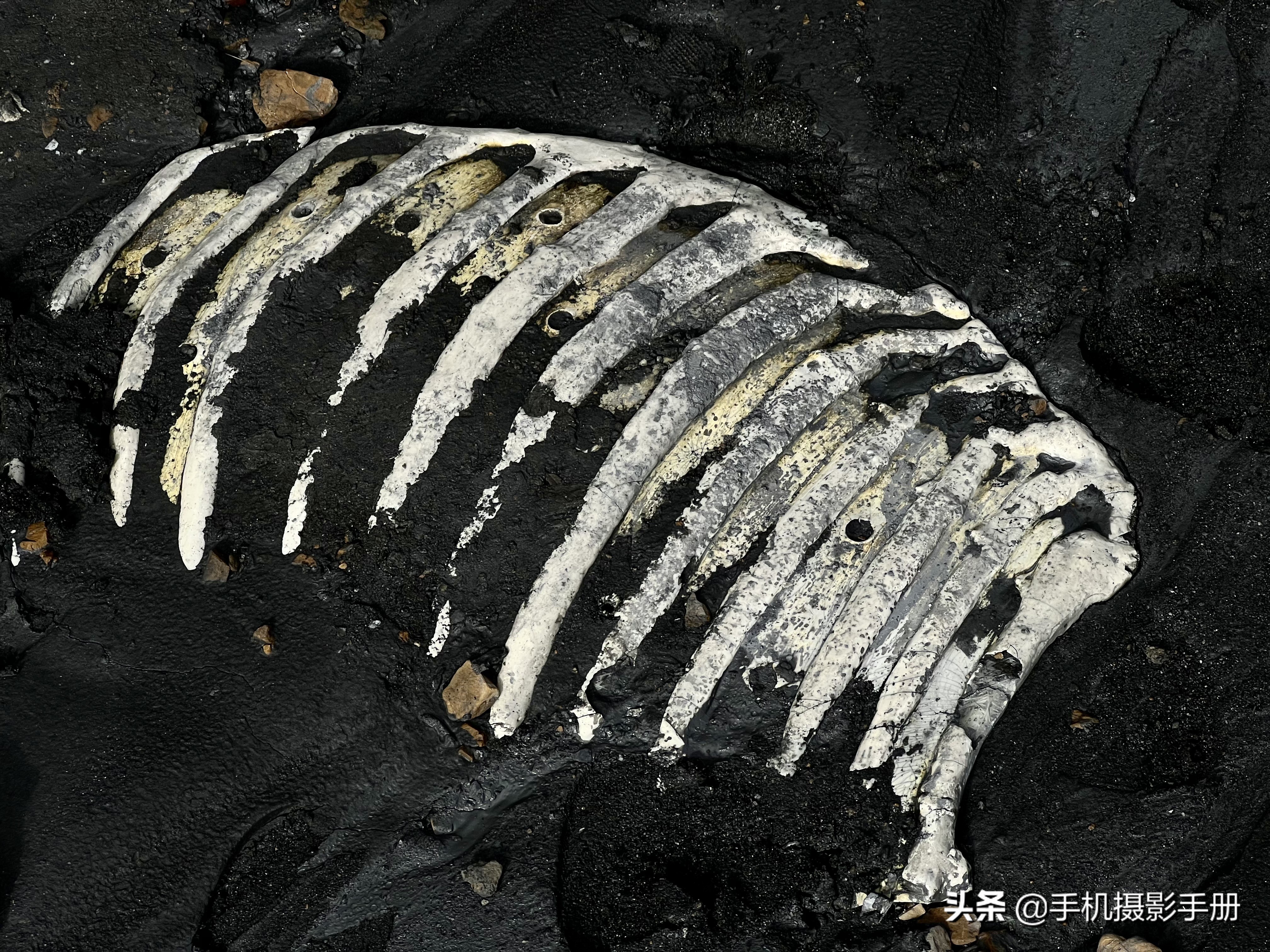 地质公园有多震撼,中国震撼的地质公园