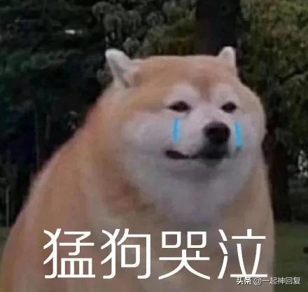 罗永浩如何在两年内挣了4亿,负债六个亿的罗永浩为什么能翻身