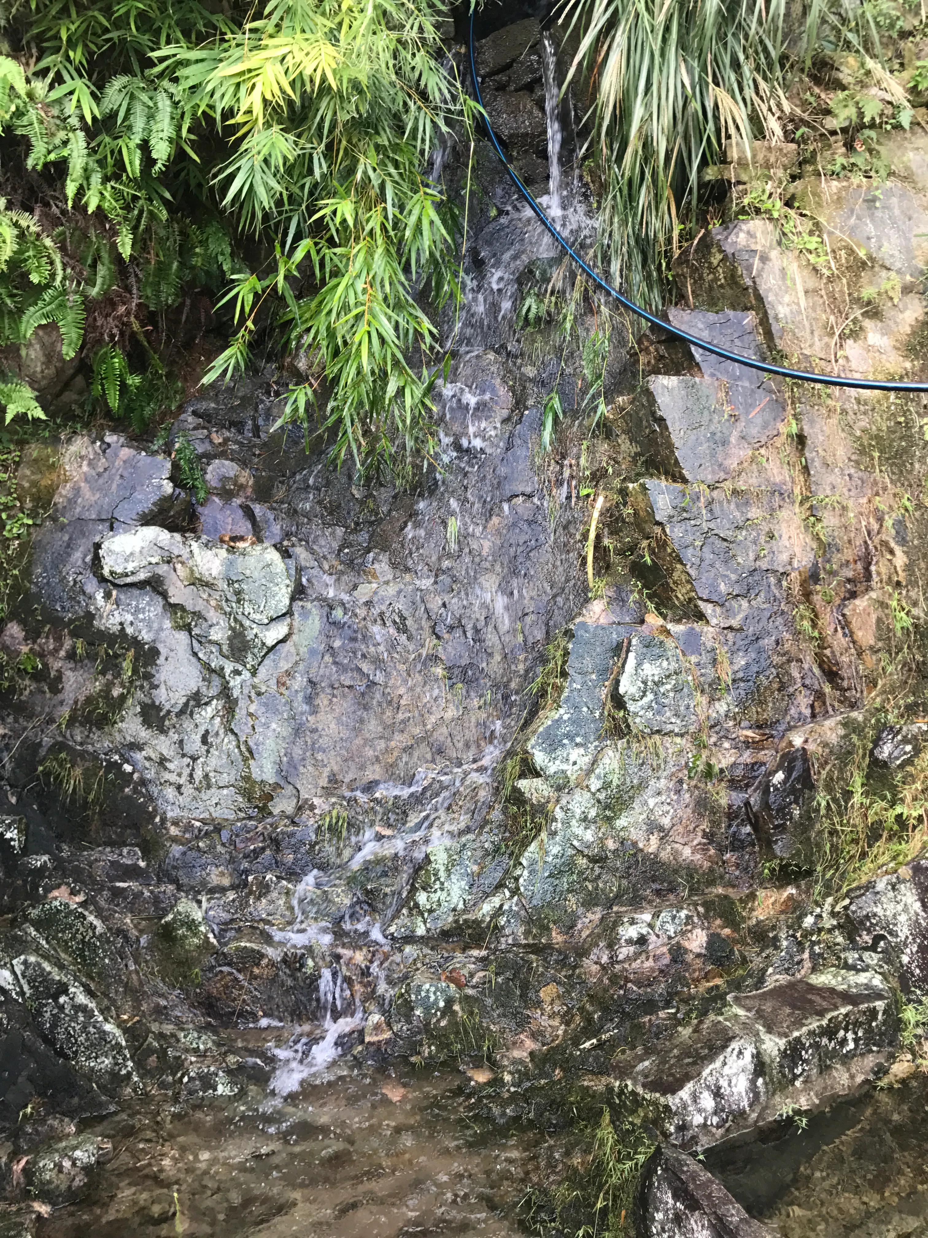 澶х編鑼跺北鏅尯,澶х編鑼跺北缇庢櫙