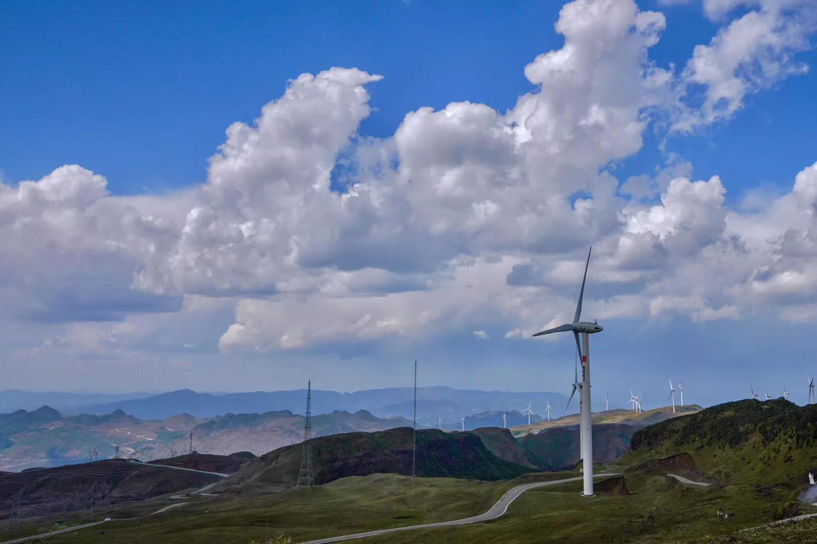 乌蒙大草原高山矮杜鹃,盘州市乌蒙大草原高山