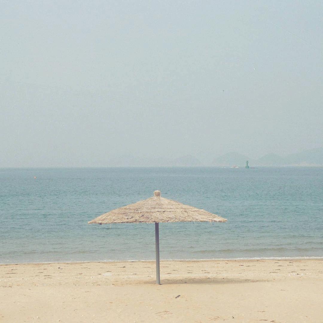 blackpink同款胶卷相机,blackpink同款胶片机