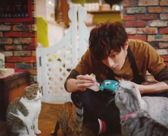 知名艺人自杀后,他的父母却被网暴了