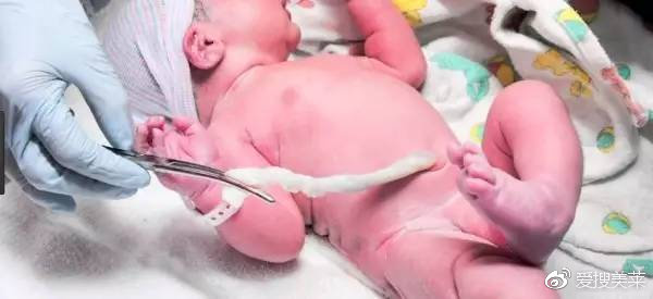 贵妇抗老涂脐带血，这大姨妈精华是什么鬼？