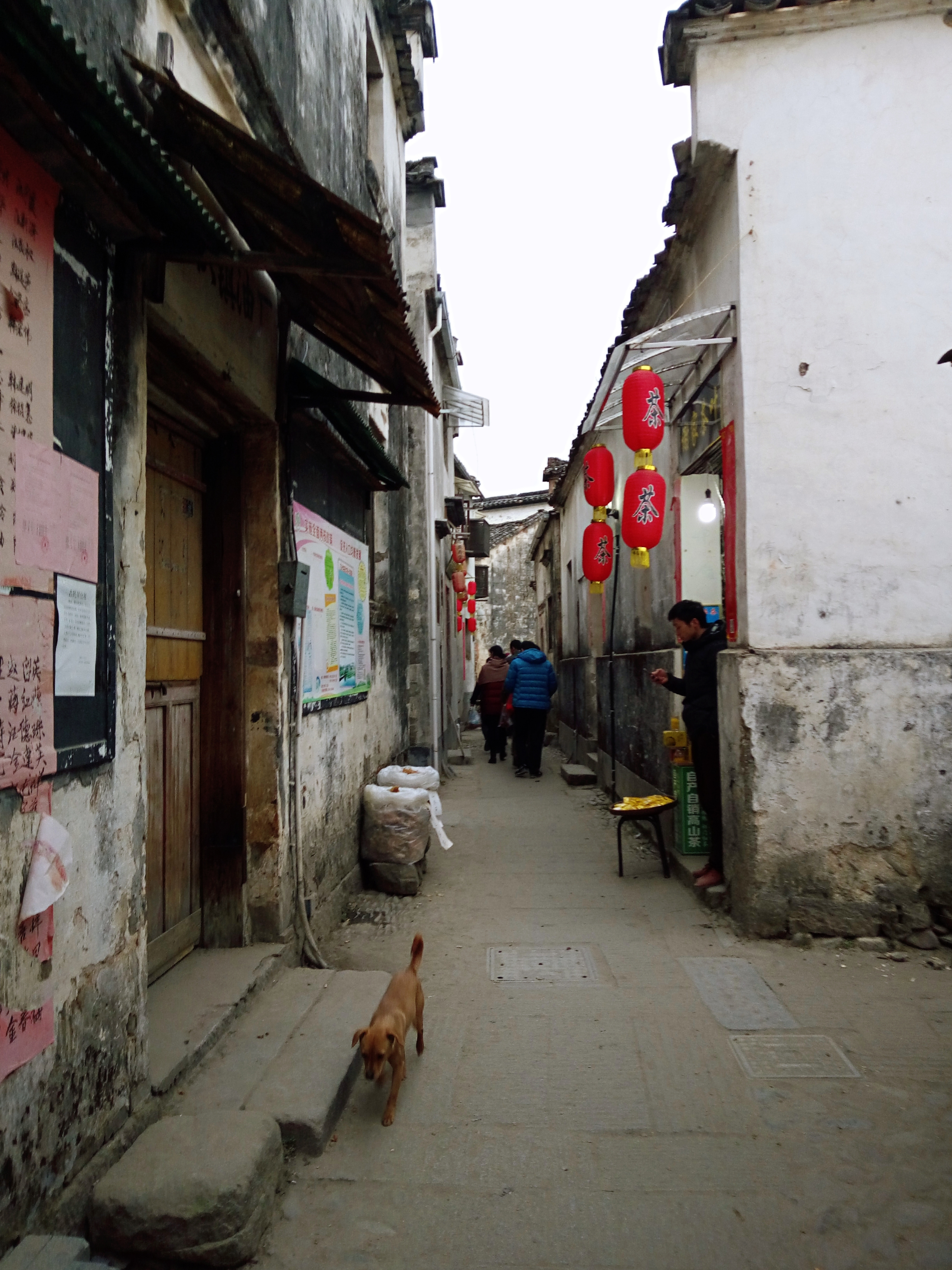 徽派村落宏村风景,山为牛头树为角的意思