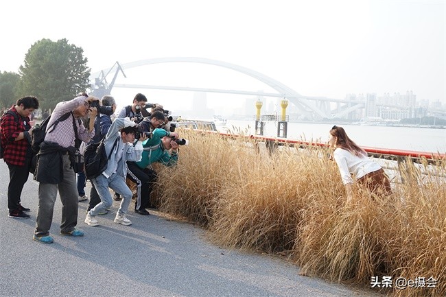 世博公园银杏林摄影照片,上海世博公园银杏最佳摄影机位
