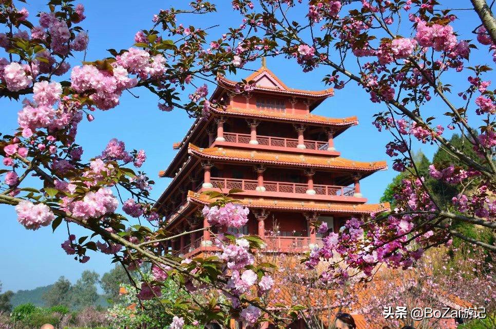 南充市凤凰故垒景区有哪些景点,四川南充旅游攻略景点大全