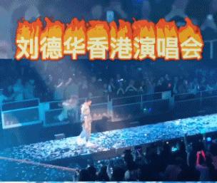 众星评价刘德华,众星力挺星爷