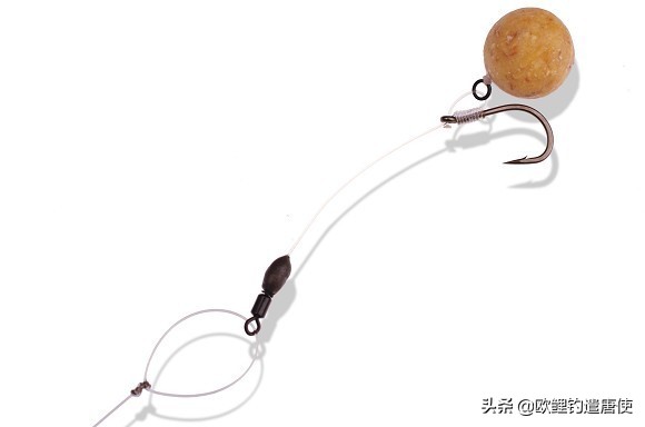 话说欧鲤钓最新消息,话说欧鲤钓鱼完整版