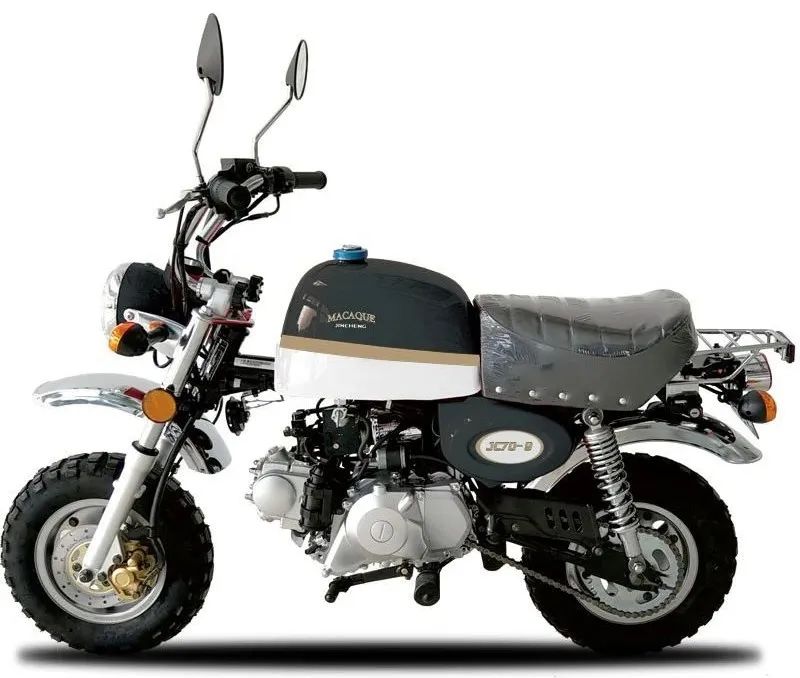 金城新车发布会,金城新能源新车价格