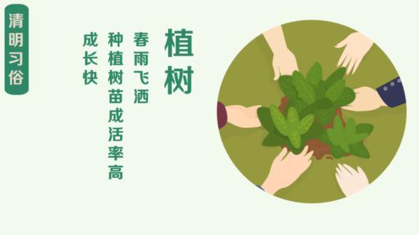 清明节是每年几月几日农历？踏青节的习俗由来，一文知尽清明事。