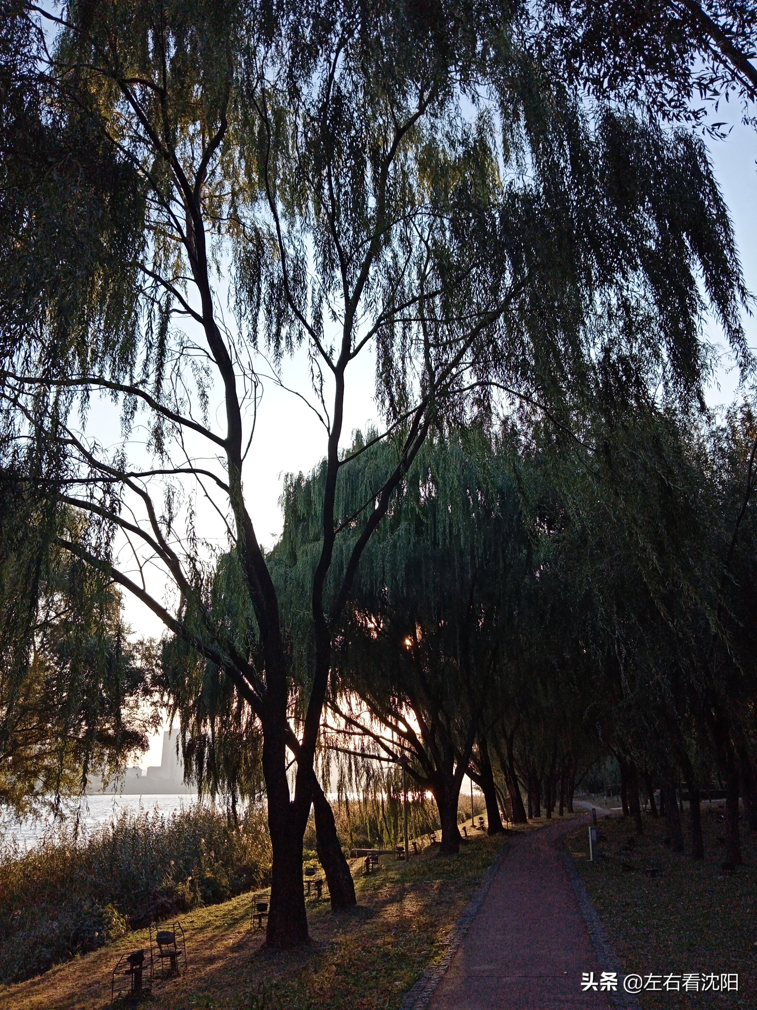 沈阳五里河公园攻略,沈阳五里河公园现在开吗