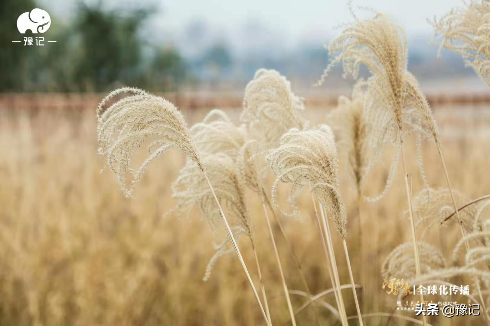 走在希望的田野上,走在希望的校园里