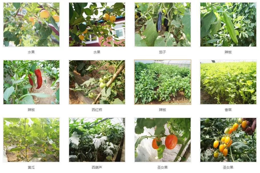 中国肉制品厂家大全,十大放心冷鲜猪肉供应商