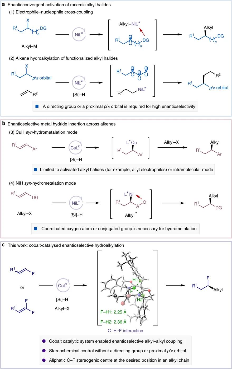 中科大傅尧院士,傅尧科大