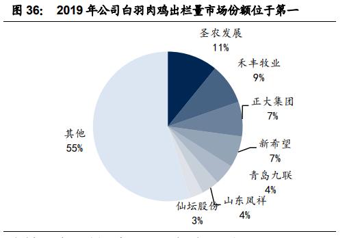 圣农发展十亿白羽鸡地址,圣农发展白羽鸡龙头
