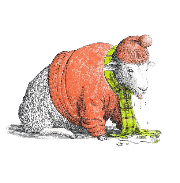 推荐一本关于动物的书,绘本有意思的书