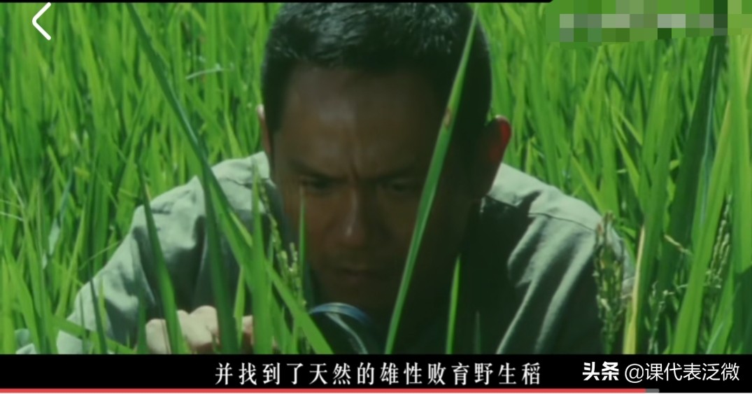 你不知道的袁隆平：浪里白条、预备飞行员、油炸鬼、臭水沟捞宝贝