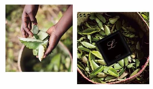 莱丝漾分享：熬夜倦怠状态不好时，做什么能够神清气爽自带高光呢