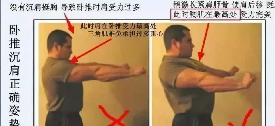 撸铁教程初级练胸,纯新手小白如何练胸